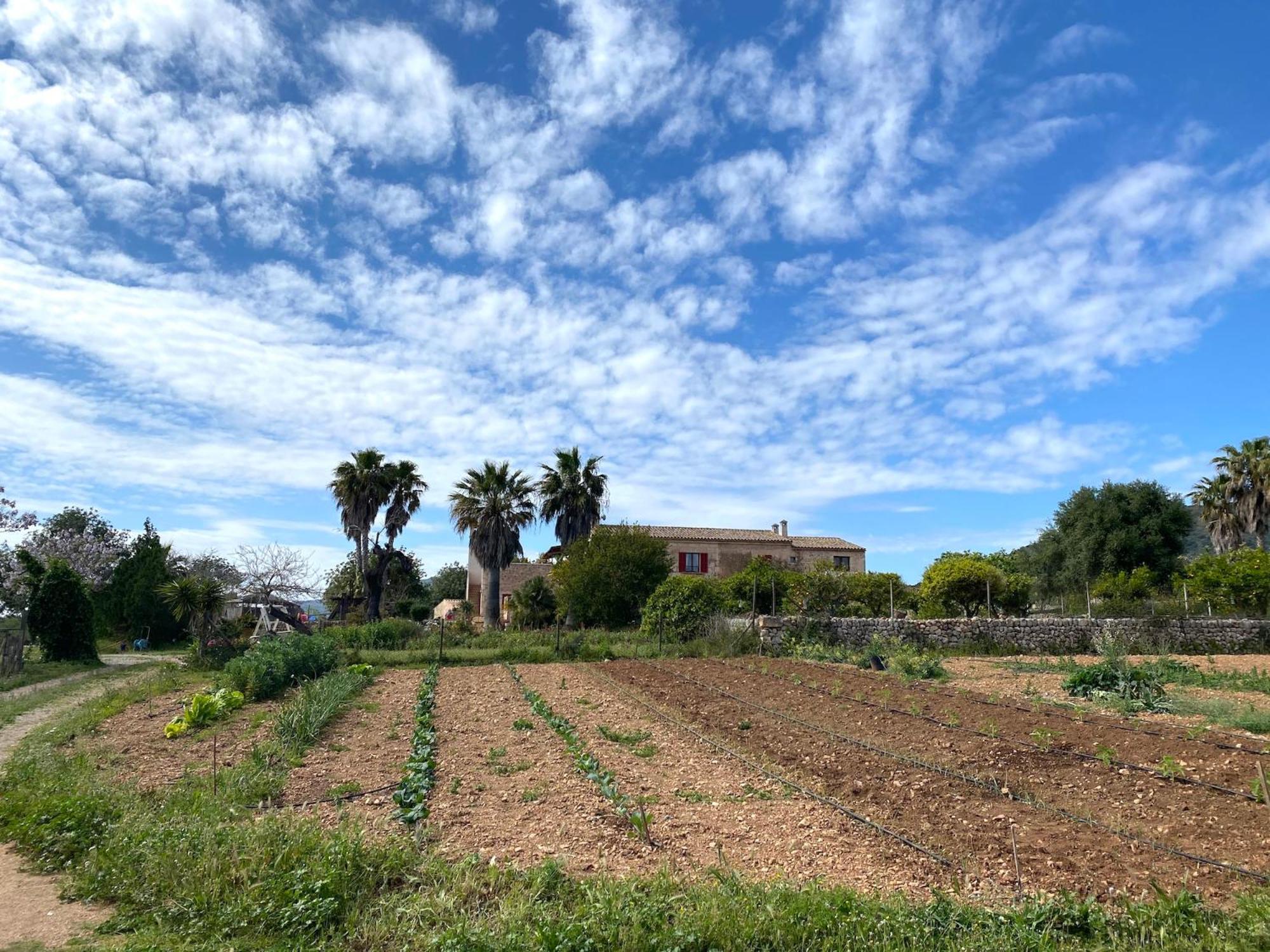 Finca Hotel Ses Cases Noves Sant Llorenc Des Cardassar Exterior foto