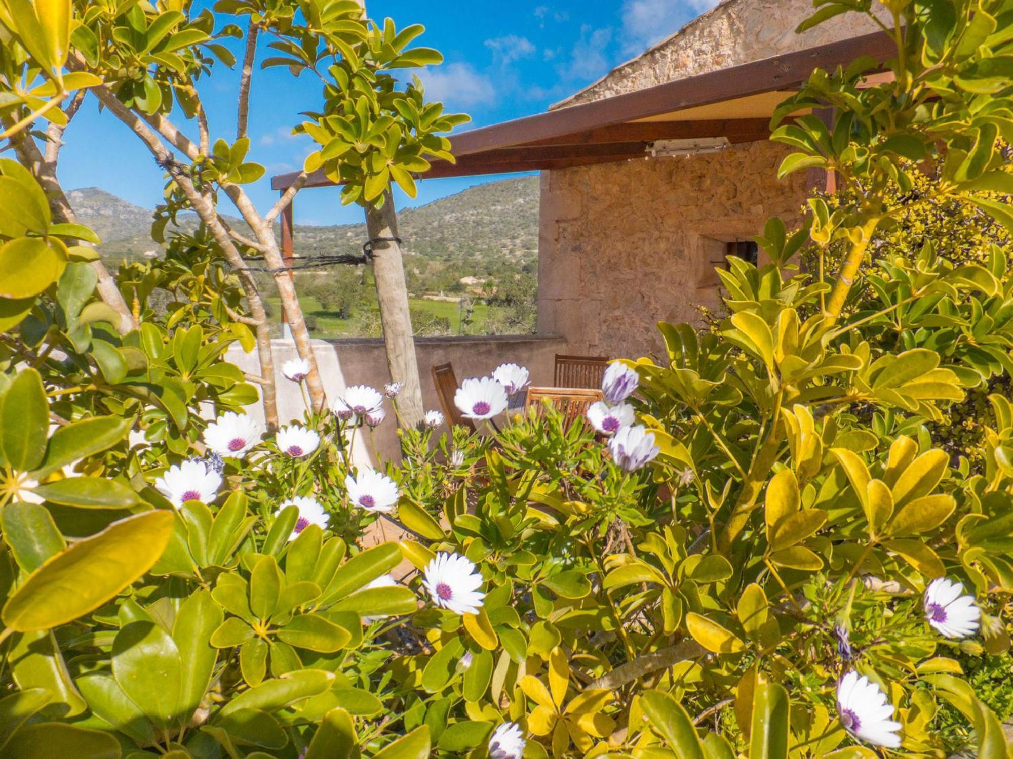 Finca Hotel Ses Cases Noves Sant Llorenc Des Cardassar Cameră foto